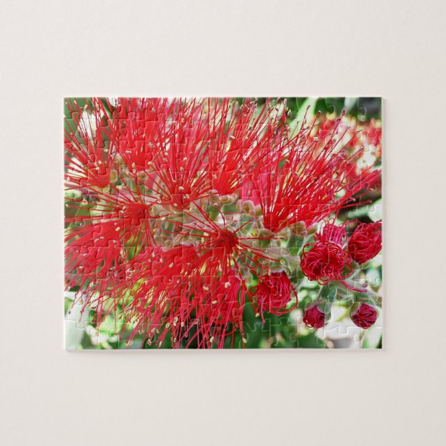 Puzzle Fleur de fond Rouge Tropical Floral (Horizontal)