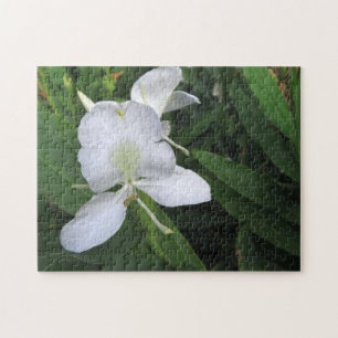 Puzzle Fleur de gingembre blanc hawaïen