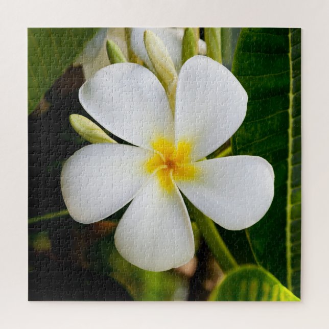 Puzzle Fleur de la Plumeria avec Feuilles (Vertical)