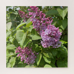 Puzzle Fleur de lilas rose