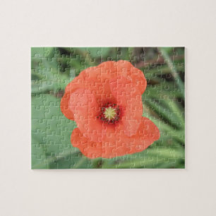 Puzzle Fleur de Poppy sauvage