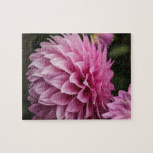 Puzzle Fleur de printemps Dahlia