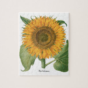 Puzzle Fleur de tournesol vintage par Basilius Besler