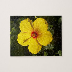 Puzzle Fleur d'Hibiscus jaune