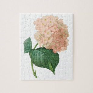 Puzzle Fleur d'Hortensia rose vintage par Redoute