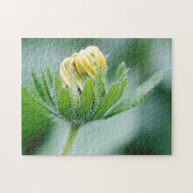 Puzzle Fleur D'Ouverture De La Fleur De Cône (Horizontal)