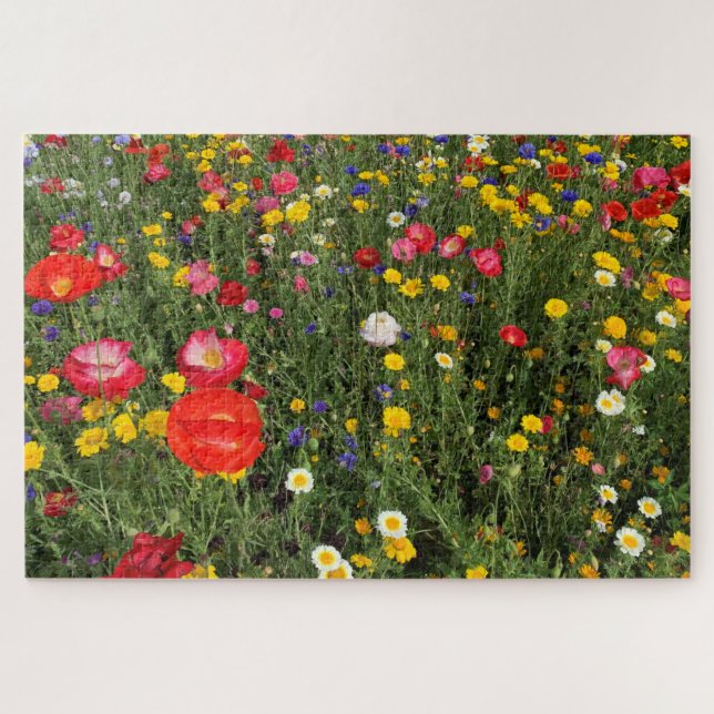 Puzzle Fleur fleur sauvage - pavots, marguerites, fleurs  (Horizontal)