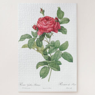 Puzzle Fleur floraison rose Vintage vieille illustration