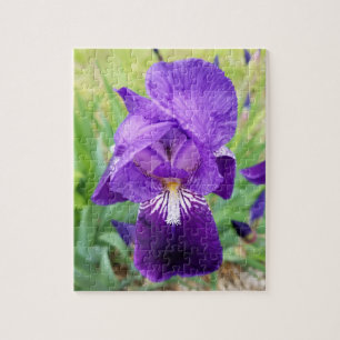 Puzzle Fleur Iris Violet