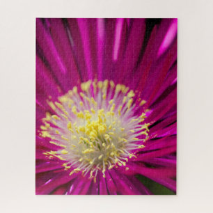 Puzzle Fleur plante de glace rose