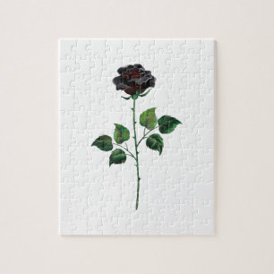 Puzzle Fleur rose noire