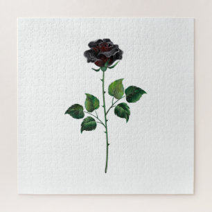 Puzzle Fleur rose noire