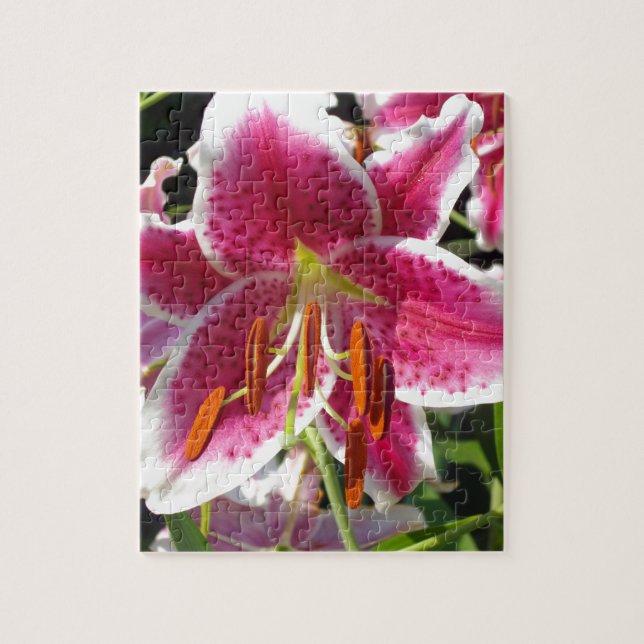 Puzzle Fleur rose rose rose rose fleur rose fleur tropica (Vertical)