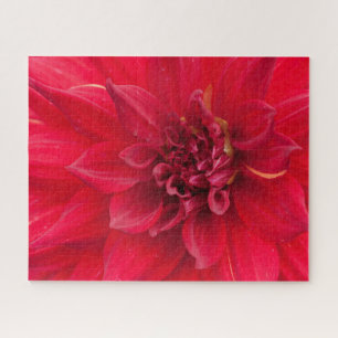 Puzzle Fleur Rouge Dahlia