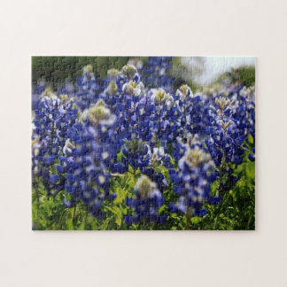 puzzle fleur sauvage bluebonnet