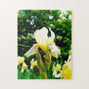 Puzzle Fleur sauvage créative promenade photo jigsaw puzz