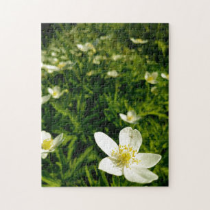 Puzzle Fleur sauvage créative promenade photo jigsaw puzz