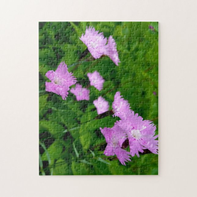 Puzzle Fleur sauvage créative promenade photo jigsaw puzz (Vertical)
