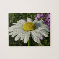 Fleur sauvage Daisy et Summer Lilac