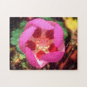 Puzzle Fleur sauvage Desert Five Spot