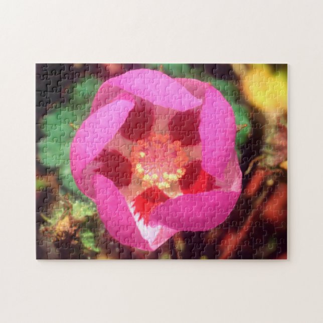 Puzzle Fleur sauvage Desert Five Spot (Horizontal)
