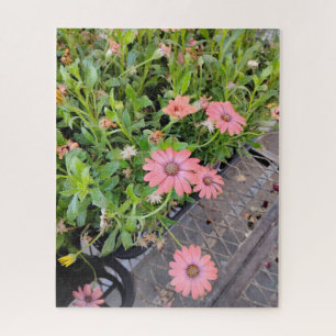 Puzzle Fleurs 