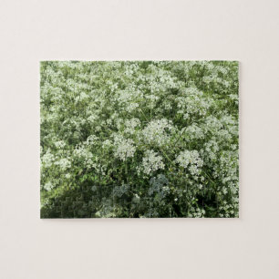 Puzzle Fleurs blanches de persil de vache Nature
