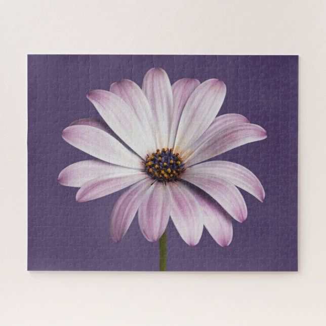 Puzzle Fleurs | Blancs et marguerites (Horizontal)