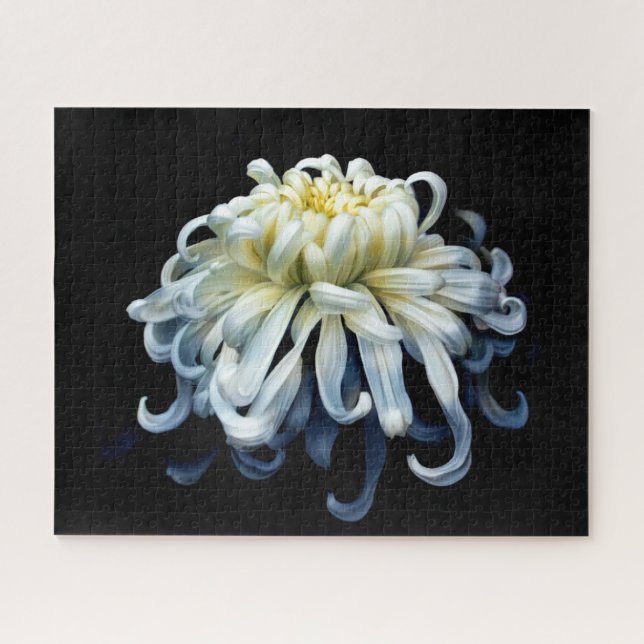 Puzzle Fleurs | Chrysanthème blanc (Horizontal)