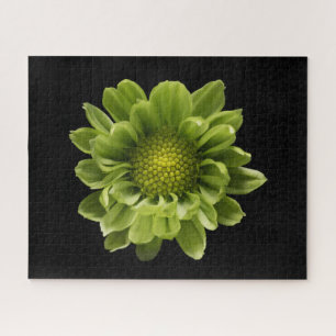 Puzzle Fleurs   Chrysanthème vert