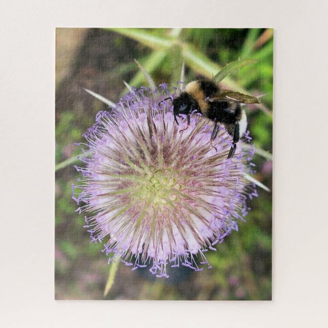 PUZZLE FLEURS D'ABEE ET DE TEASEL (Vertical)