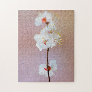 Puzzle Fleurs d'Abricotier Japonais Adorables au Printemp
