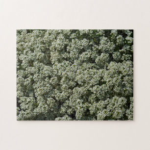 Puzzle Fleurs d'Alyssum doux Floral blanc