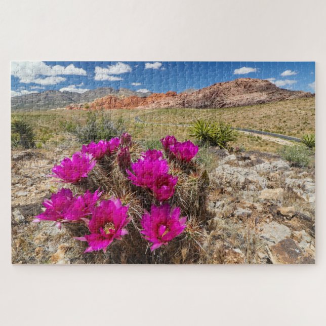 Puzzle Fleurs de cactus roses vives dans le canyon de Red (Horizontal)