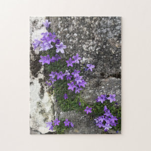 Puzzle Fleurs de Campanula poussant sur un mur
