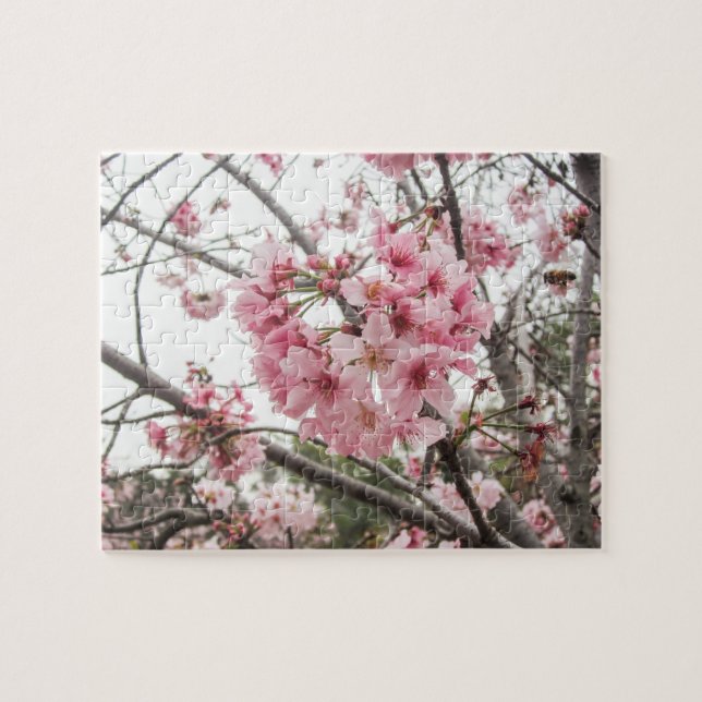 Puzzle Fleurs de cerisier de printemps - (Horizontal)