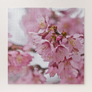 Puzzle Fleurs de cerisier Sakura rose pâle