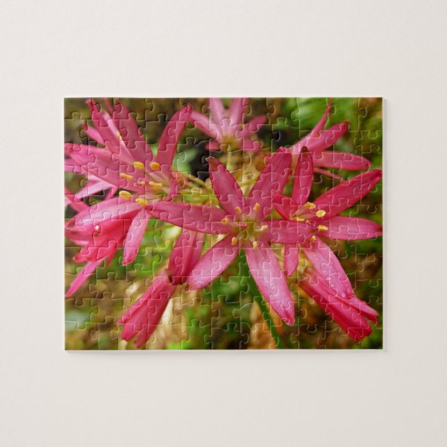 Puzzle Fleurs de Clintonia Rouge à Redwoods (Horizontal)