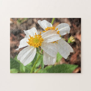 Puzzle Fleurs de Cosmo Blanc Jardin Floral de Printemps D