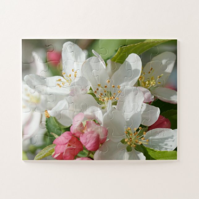 Puzzle Fleurs de fleurs d'Apple surdimensionnées (Horizontal)