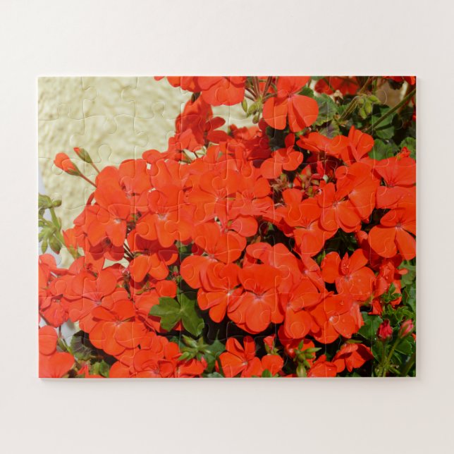 Puzzle Fleurs de géranium orange (Horizontal)