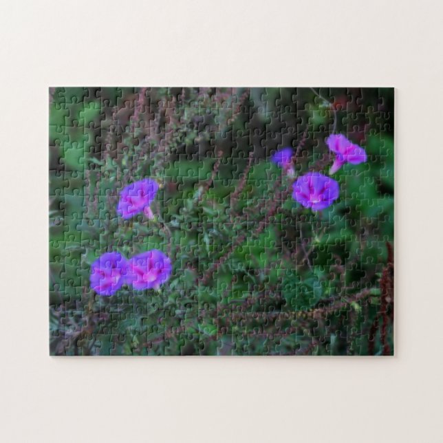 Puzzle Fleurs de gloire du matin sauvage intenses  (Horizontal)