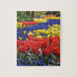 Puzzle Fleurs de Hollande, Keukenhof