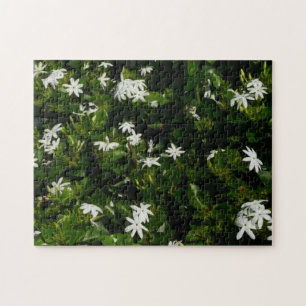 Puzzle Fleurs de jasmin Botanique tropicale florale