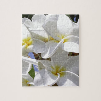 Puzzle Fleurs de la Plumeria tropicale
