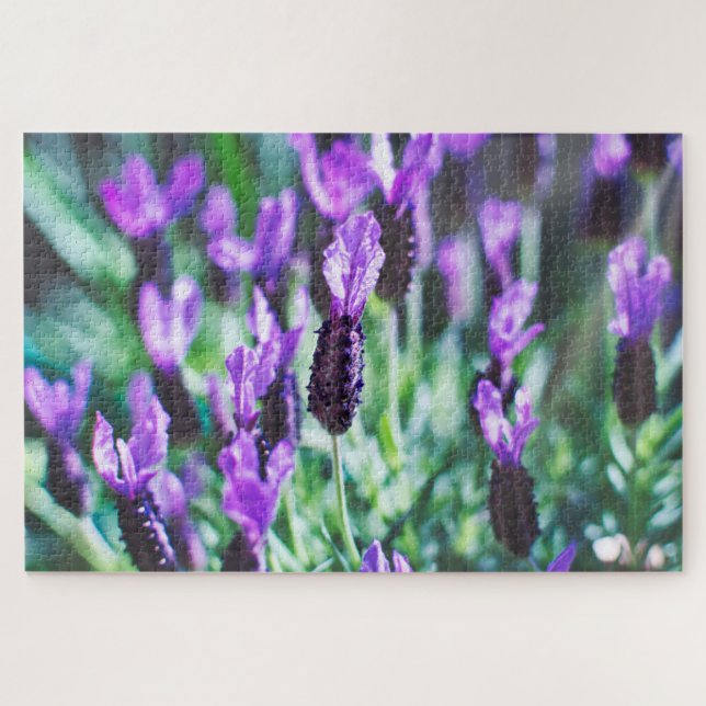 Puzzle Fleurs de lavande violette (Horizontal)