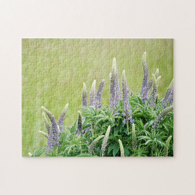 Puzzle Fleurs de lupine violette (Horizontal)