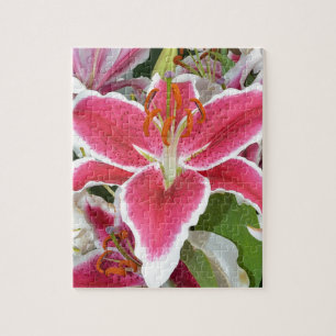 Puzzle Fleurs de lys stargazers roses