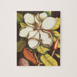 Puzzle Fleurs de magnolia vintage avec graines