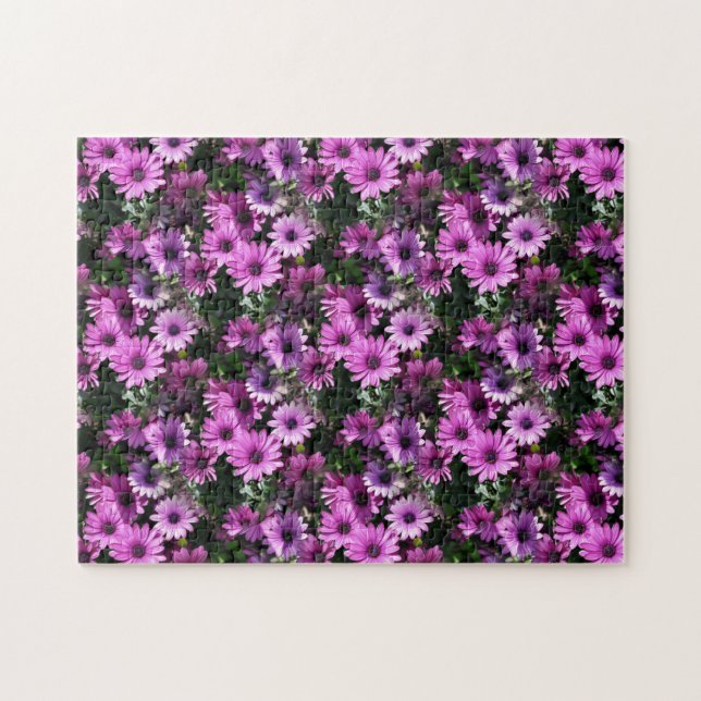 Puzzle Fleurs de marguerite violette africaine Nature (Horizontal)